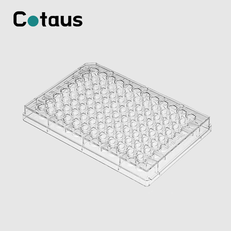 Introduksjon av Elisa Plate