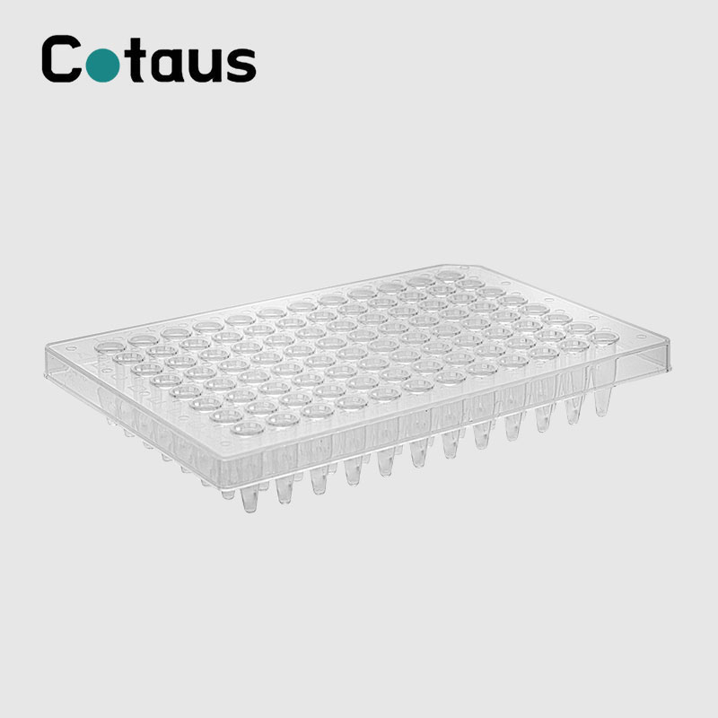 96 Well 0,2ml Transparent Halvskjørt PCR-plate