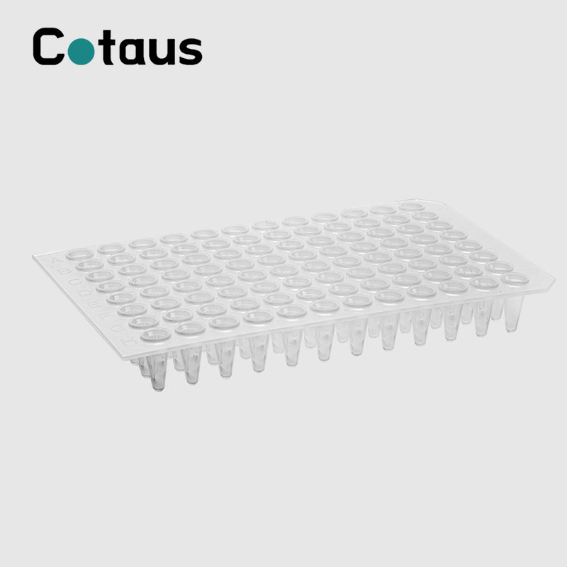 96 Well 0,2ml Transparent No Skirt PCR Plate